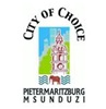 Msunduzi